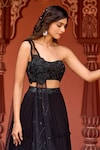 Aariyana Couture_Black Lehenga And Blouse Viscose Georgette Embroidered Draped & Tiered Skirt Set _at_Aza_Fashions