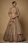 Buy_Maisolos_Beige Net Cut Work, Sequins, Beads Phool Bahar Embroidered Bridal Lehenga Set_at_Aza_Fashions