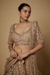 Buy_Maisolos_Beige Net Cut Work, Sequins, Beads Phool Bahar Embroidered Bridal Lehenga Set_Online_at_Aza_Fashions