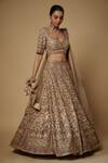 Shop_Maisolos_Beige Net Cut Work, Sequins, Beads Phool Bahar Embroidered Bridal Lehenga Set_Online_at_Aza_Fashions