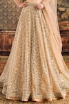 Cedar & Pine_Gold Tulle Embroidery Sequin Sweetheart Moonlight Ball Lehenga Set  _Online_at_Aza_Fashions