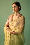 Nishar Ahmed_Green Habutai Silk Hand Embroidered Dori Yasmin Saree _Online_at_Aza_Fashions