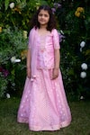 Buy_Shyam Narayan Prasad_Pink Dupion Silk Embroidery Floret Chanderi Brocade Lehenga Set  _at_Aza_Fashions