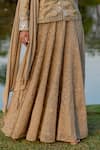 Shop_Nikita Vishakha_Beige Tissue Embroidered Mirror Band Collar Jacket Kurta Skirt Set _Online_at_Aza_Fashions