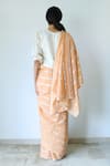 Shop_Merakus_Peach Cotton Stripe Zari Pattern Saree  _at_Aza_Fashions