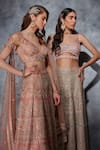 Buy_Saaj by Ankita_Pink Tulle Embellished Thread Plunge Zari Bridal Lehenga Blouse Set _Online_at_Aza_Fashions