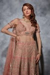 Saaj by Ankita_Pink Tulle Embellished Thread Plunge Zari Bridal Lehenga Blouse Set _at_Aza_Fashions