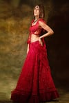 Shop_Archana Kochhar_Red Net Embroidered Swarovski Sweetheart Elegant Lehenga Set _at_Aza_Fashions