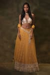 Buy_Archana Kochhar_Yellow Lehenga And Dupatta Net Embroidered Mirror Sweetheart Sunshine Set _at_Aza_Fashions