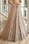 Shop_PRESTO COUTURE_Beige Net Hand Embroidery Sequins Spread V Neck Peacock Lehenga Set _at_Aza_Fashions