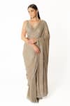 Buy_Rabani & Rakha_Silver Georgette Cut Work, Sequins, Embroidery Fern Jaal Hand Saree With Blouse _Online_at_Aza_Fashions