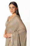 Rabani & Rakha_Silver Georgette Cut Work, Sequins, Embroidery Fern Jaal Hand Saree With Blouse _at_Aza_Fashions