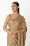 Shop_Rabani & Rakha_Gold Georgette Hand Embroidered Sequin Fern Jaal Saree With Blouse  _Online_at_Aza_Fashions