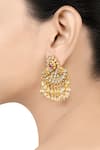 Buy_Tribe Amrapali_Gold Plated Stones Hrishaya Embellished Earrings _at_Aza_Fashions