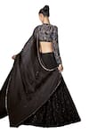 Itrh_Black Lehenga And Blouse Net Embellished Crystal Figurine Flow Set  _Online_at_Aza_Fashions