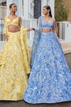 Seema Gujral_Blue Net Embroidered 3d Florals Sweetheart Lehenga_Online_at_Aza_Fashions