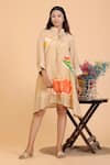 Buy_Radhika Jindal_Gold Cotton Silk Printed Quirky Mandarin Collar Shirt Dress  _at_Aza_Fashions