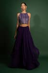 Buy_Vaishali Agarwal_Purple Crop Top Semi Raw Silk Embroidery Sequins Halter Neck With Skirt _at_Aza_Fashions