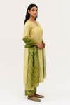 Naina Jain_Green Silk Embroidery Mirror V Neck Suri Ditsy Kurta Pant Set _Online_at_Aza_Fashions