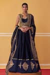 Jigar Mali_Blue Organza, Chanderi Beads, Sequins, Floral Border Lehenga Jacket Set _Online_at_Aza_Fashions