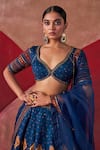 Buy_Jigar Mali_Blue Chanderi Hand Embroidered Dori Plunge Neck Lehenga Set 