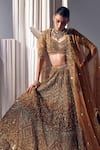 Shop_Ruchika Hurria_Gold Net Embroidered Sequin Leaf Neck Tassel Detailed Lehenga Blouse Set _Online_at_Aza_Fashions