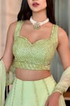 Richa Jaisinghani Label_Green Organza Embroidery Nalki Sweetheart Neck Cutdana Hive Kalidar Lehenga Set _at_Aza_Fashions