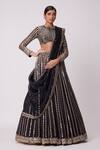 Buy_Vvani by Vani Vats_Black Lehenga And Dupatta Organza Embroidered Mirror Round Flared Linear Set _at_Aza_Fashions