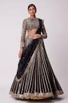 Vvani by Vani Vats_Black Lehenga And Dupatta Organza Embroidered Mirror Round Flared Linear Set _Online_at_Aza_Fashions