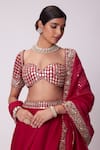 Buy_Vvani by Vani Vats_Red Lehenga And Dupatta Organza Embroidered Mirror Flared Border Set _Online_at_Aza_Fashions