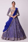 Buy_Vvani by Vani Vats_Blue Lehenga And Dupatta Organza Embroidered Mirror Sweetheart Floral Set _at_Aza_Fashions