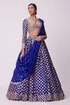 Vvani by Vani Vats_Blue Lehenga And Dupatta Organza Embroidered Mirror Sweetheart Floral Set _Online_at_Aza_Fashions