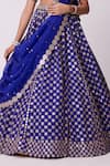 Vvani by Vani Vats_Blue Lehenga And Dupatta Organza Embroidered Mirror Sweetheart Floral Work Set _Online_at_Aza_Fashions