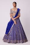 Buy_Vvani by Vani Vats_Blue Lehenga And Dupatta Organza Embroidered Mirror Sweetheart Floral Work Set _Online_at_Aza_Fashions