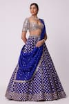 Shop_Vvani by Vani Vats_Blue Lehenga And Dupatta Organza Embroidered Mirror Sweetheart Floral Work Set _Online_at_Aza_Fashions