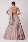 Shop_Vvani by Vani Vats_Pink Lehenga And Dupatta Organza Embroidery Mirror Sweetheart Flower Jaal Set _at_Aza_Fashions