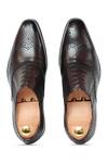 Shop_Vantier_Brown Buckles Azura Lace-up Leather Brogue Shoes _at_Aza_Fashions
