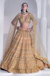 Shop_Ruchika Hurria_Gold Net Embroidered Swarovski Plunge V Bridal Lehenga Set_Online_at_Aza_Fashions