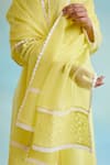 Nero India_Yellow Satka Net Embellished Lace Lily Border Dupatta_Online_at_Aza_Fashions