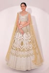 Buy_Sidhaarth & Disha_Green Net And Organza Hand Embroidery Crystals Geometric Lehenga With Blouse _at_Aza_Fashions