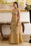 Moledro_Gold Crochet Embroidery Sequin One Shoulder Zyra Ambrosia Saree Gown _Online_at_Aza_Fashions