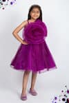 Buy_Jelly Jones_Wine Organza Embellished Rosette Rosa Dress_at_Aza_Fashions