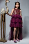 Buy_Jelly Jones_Wine Embroidery Layered Trail Net Dress _at_Aza_Fashions