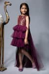 Shop_Jelly Jones_Wine Embroidery Layered Trail Net Dress _Online_at_Aza_Fashions