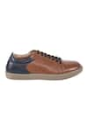 HATS OFF ACCESSORIES_Brown Solid Leather Lace-up Sneakers _at_Aza_Fashions