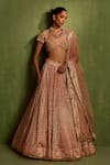Buy_Neha Khullar_Pink Banarasi Chanderi Woven Geometric V-neck Jaal Lehenga Set_at_Aza_Fashions
