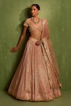 Neha Khullar_Pink Banarasi Chanderi Woven Geometric V-neck Jaal Lehenga Set _Online_at_Aza_Fashions