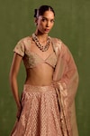 Neha Khullar_Pink Banarasi Chanderi Woven Geometric V-neck Jaal Lehenga Set _at_Aza_Fashions