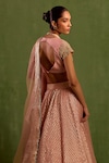 Buy_Neha Khullar_Pink Banarasi Chanderi Woven Geometric V-neck Jaal Lehenga Set