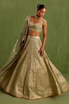 Neha Khullar_Green Banarasi Chanderi Woven Geometric Sweetheart Jaal Lehenga Set _at_Aza_Fashions